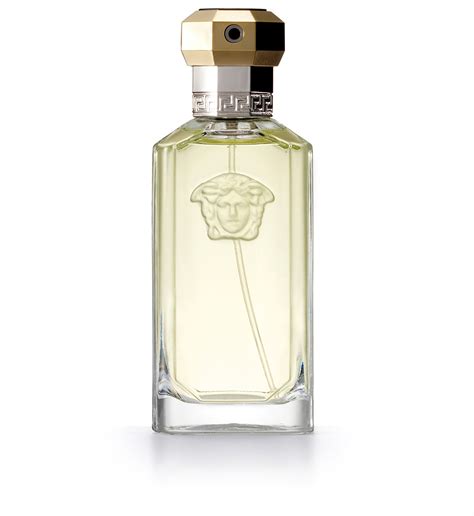 versace the dreamer 50 ml fiyat|Versace the dreamer smells like.